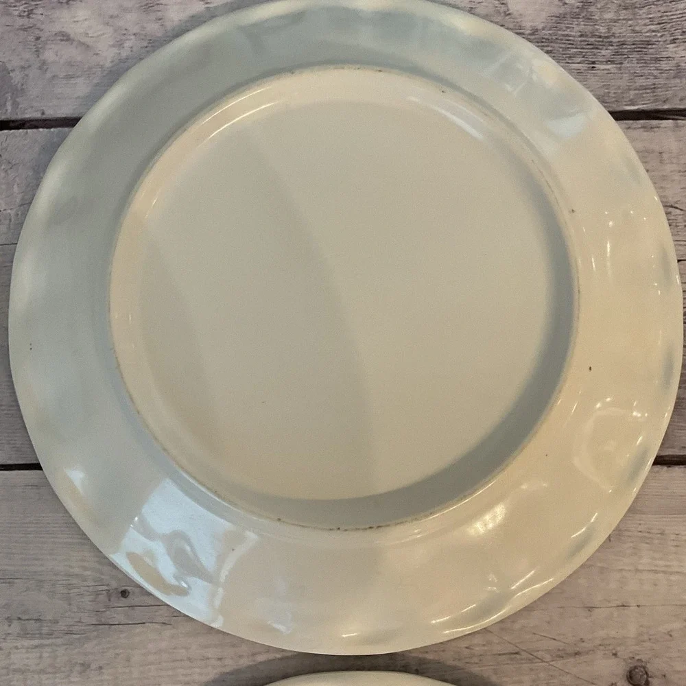 Pottery Barn Del Sol Melamine Dinner Plates Mixed Patterns 10.25